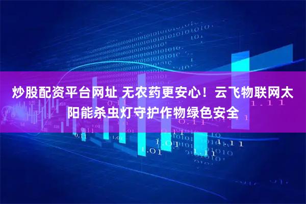 炒股配资平台网址 无农药更安心！云飞物联网太阳能杀虫灯守护作物绿色安全